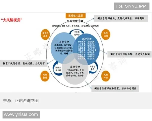 以法务为核心推动企业合规管理提升与风险防控策略分析