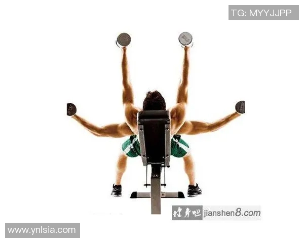 飞鸟凳健身器材使用全解 胸肩复合动作训练利器